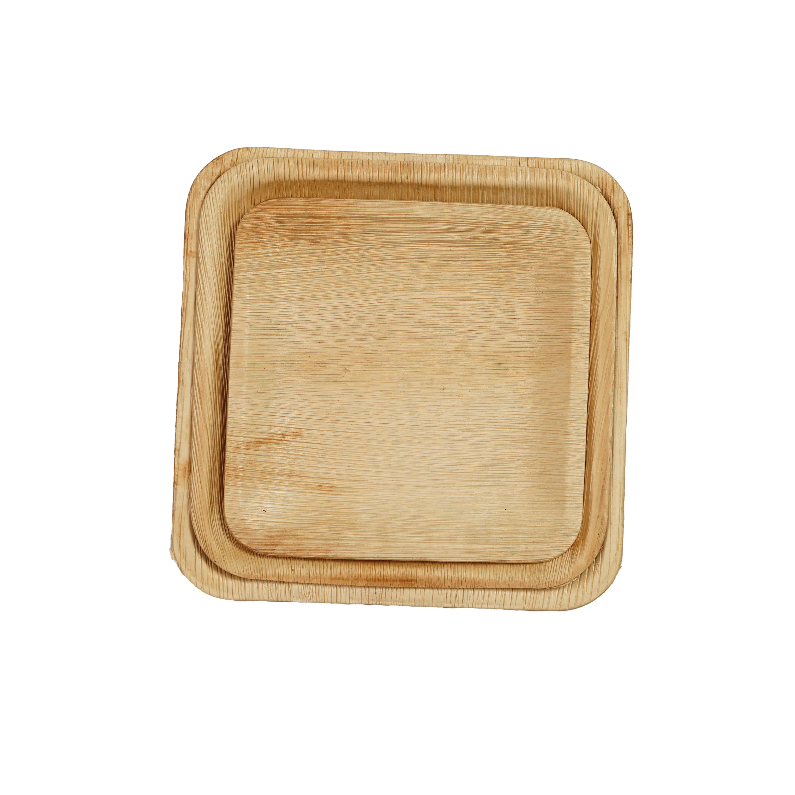 Eco-Friendly Disposable Areca Palm Leaf Square Plate Set (Set of 4)